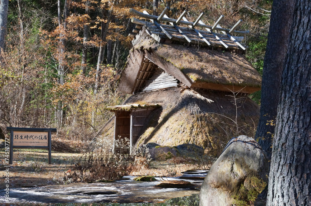 Fototapeta premium 古代の住居