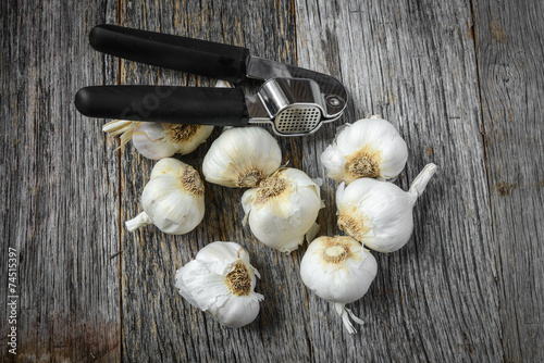 Garlic Bulbs with Garlic Press on Rustic Wood Background photo