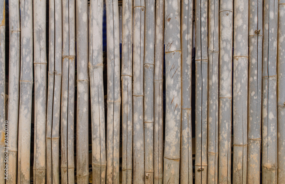 old bamboo fence for background old bamboo fence for background