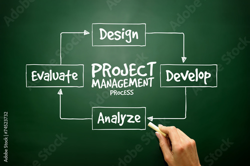 Project management process diagram for presentations and reports