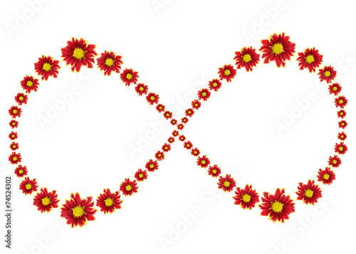 Infinity symbol of red flower isolated on white background
