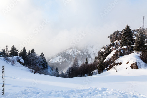 Beautiful winter landscape with snow