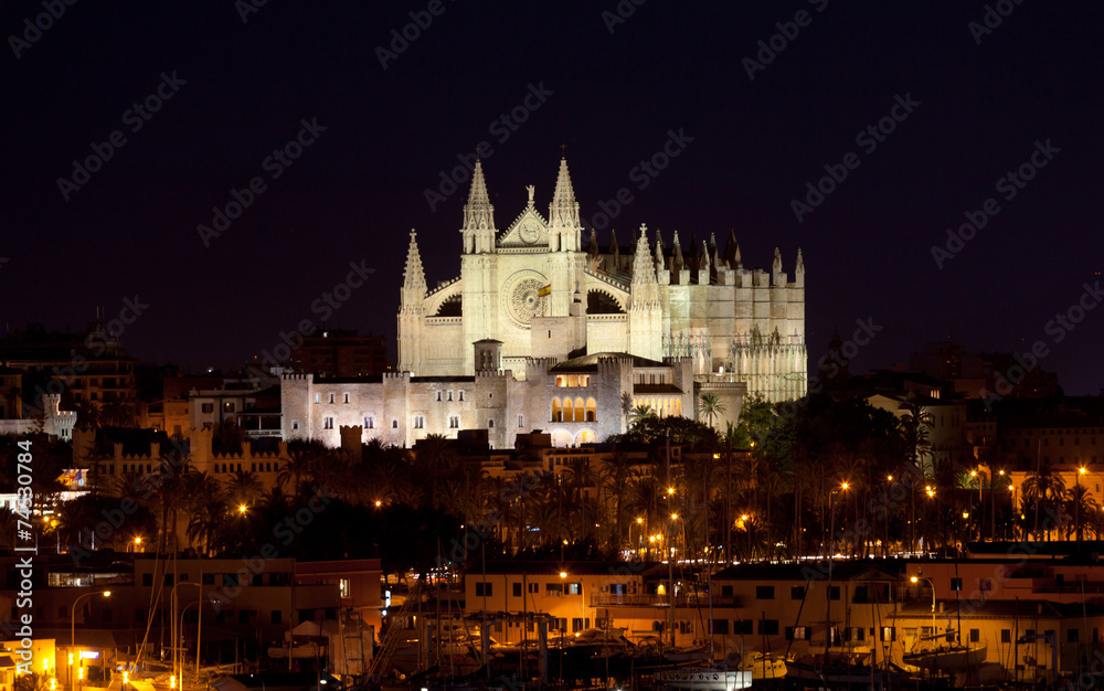 Best view of Palma de Mallorca with the Cathedral Santa Maria