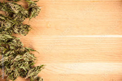 big canabis marijuana plant detail on wood table