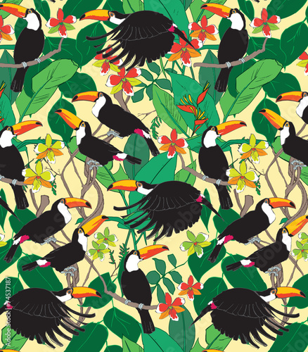 Toucan Pattern photo