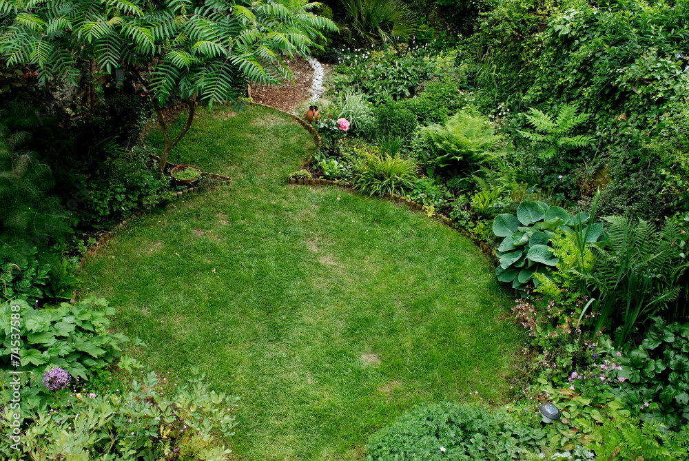 Fototapeta premium Back garden