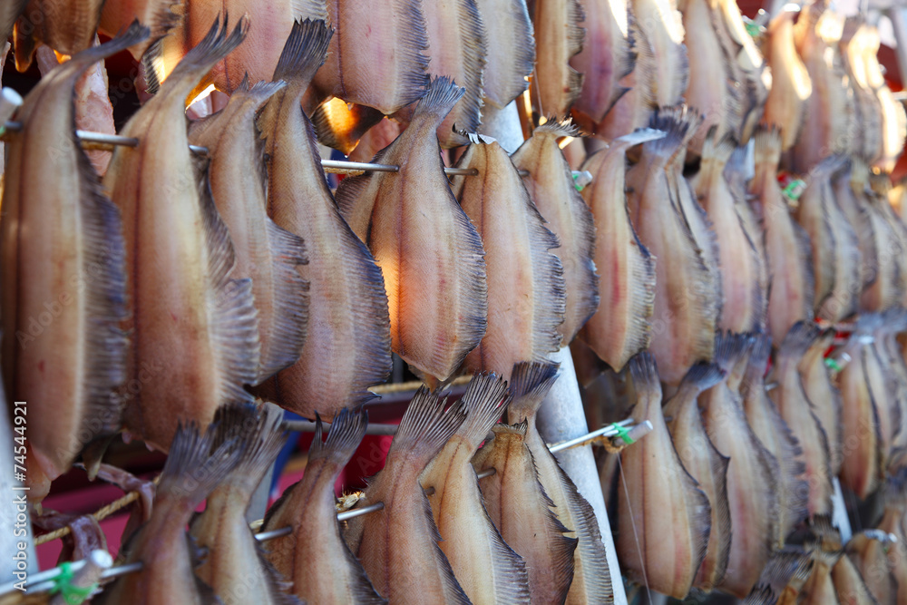 Fototapeta premium Dried Fish under Sunlight in Hokkaido, Japan