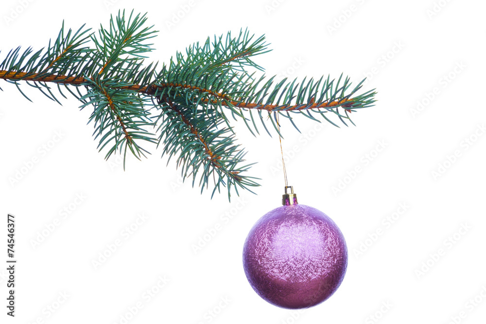 Decoration on Christmas tree branch isolated on white background Decoration on Christmas tree branch isolated on white background