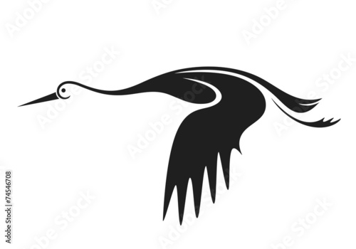 Stork