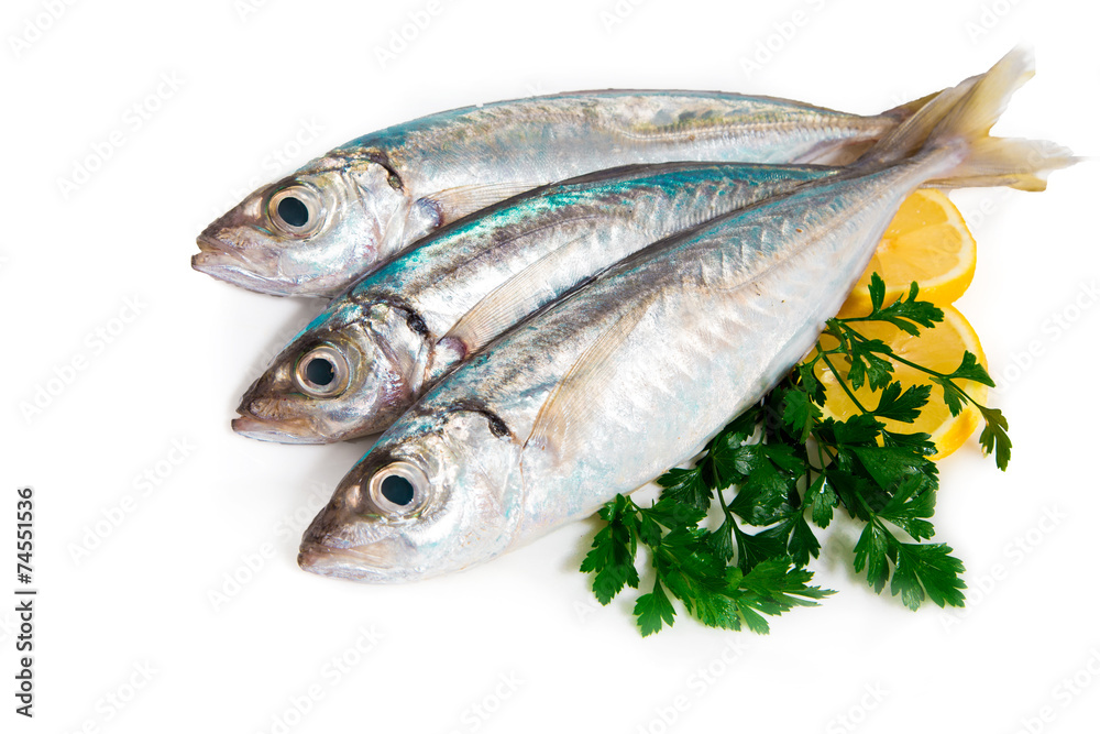 Sgombro suro with parsley and lemon isolated on white background Sgombro suro with parsley and lemon isolated on white background