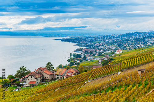Beautiful view on Lavaux vineyards and the lake Geneva