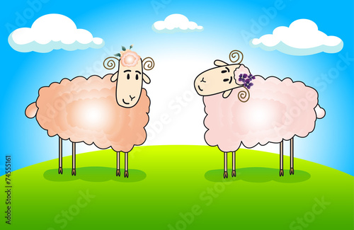 funny sheep