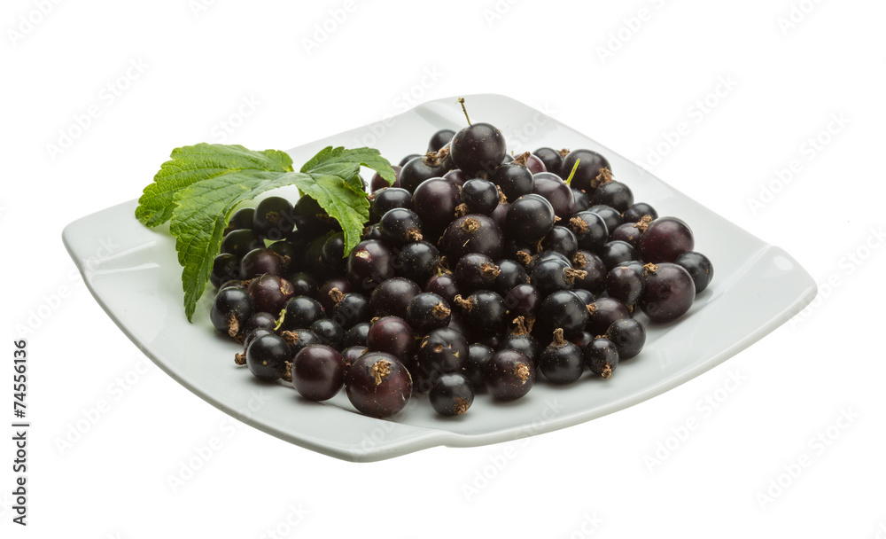 Black currant Black currant
