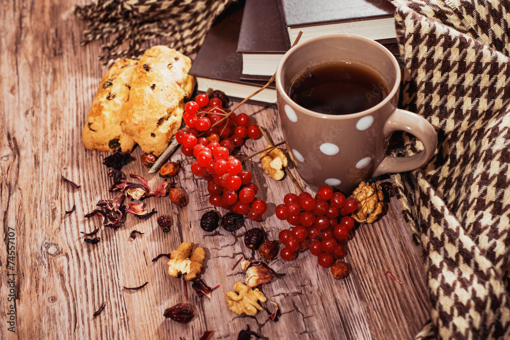 Fototapeta premium healthy tea with briar and guelder