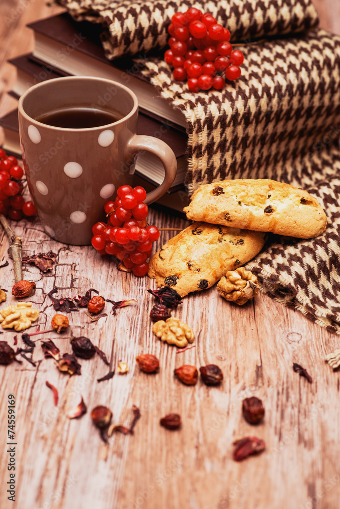 healthy tea with briar and guelder healthy tea with briar and guelder