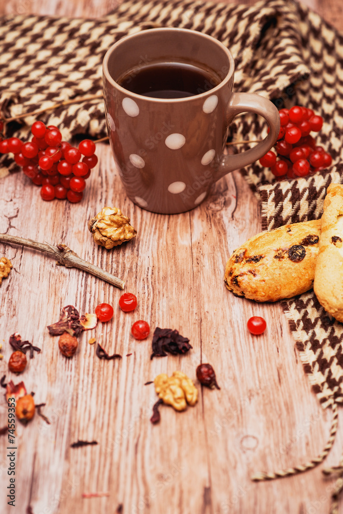 healthy tea with briar and guelder