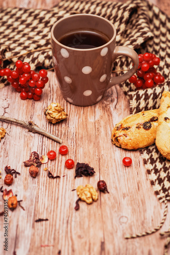 healthy tea with briar and guelder