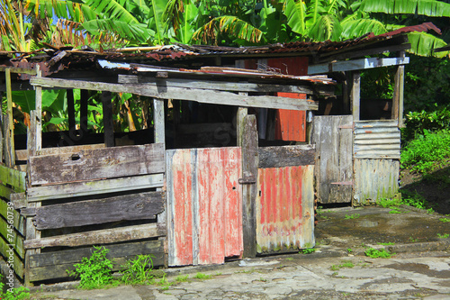 Caribbean shack. photo