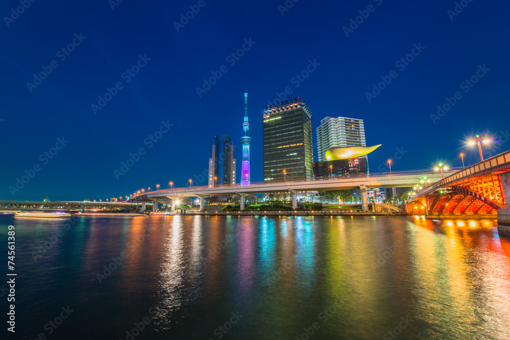 Naklejka premium View of Tokyo skyline from Sumida river