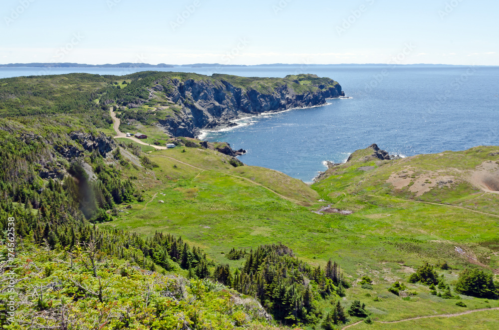 The shore of Newfoundland