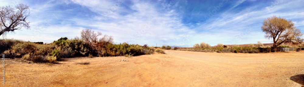 Sunny day in the Utah Desert - obrazy, fototapety, plakaty 