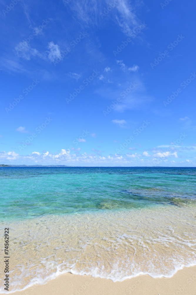 Obraz premium 南国の美しいビーチと紺碧の空