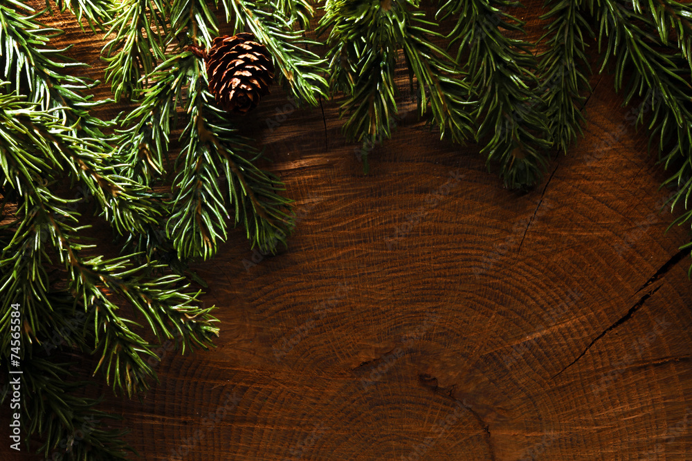 Evergreen tree background Evergreen tree background