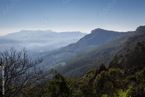 Landscape in Sri Lanka Highlands country near Ella © jakartatravel