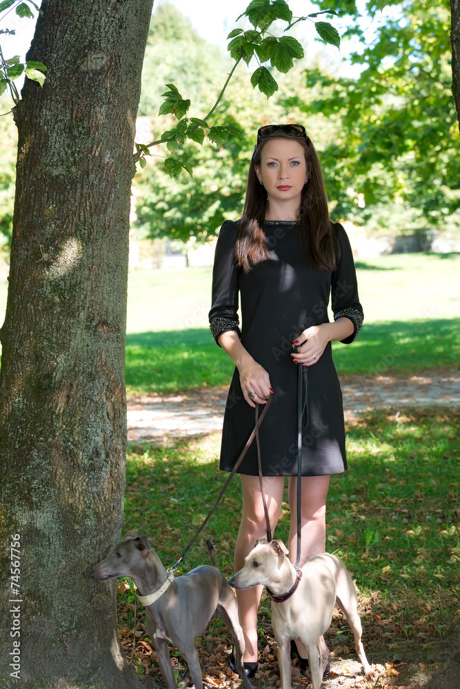 Young girl with two greyhounds in the park Young girl with two greyhounds in the park