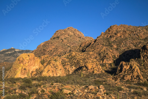 Tucson's Catalina State Park
