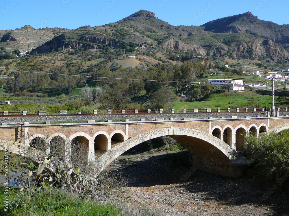Naklejka premium Pizarra Railway Bridge