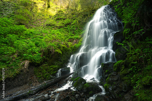 waterfall in forest