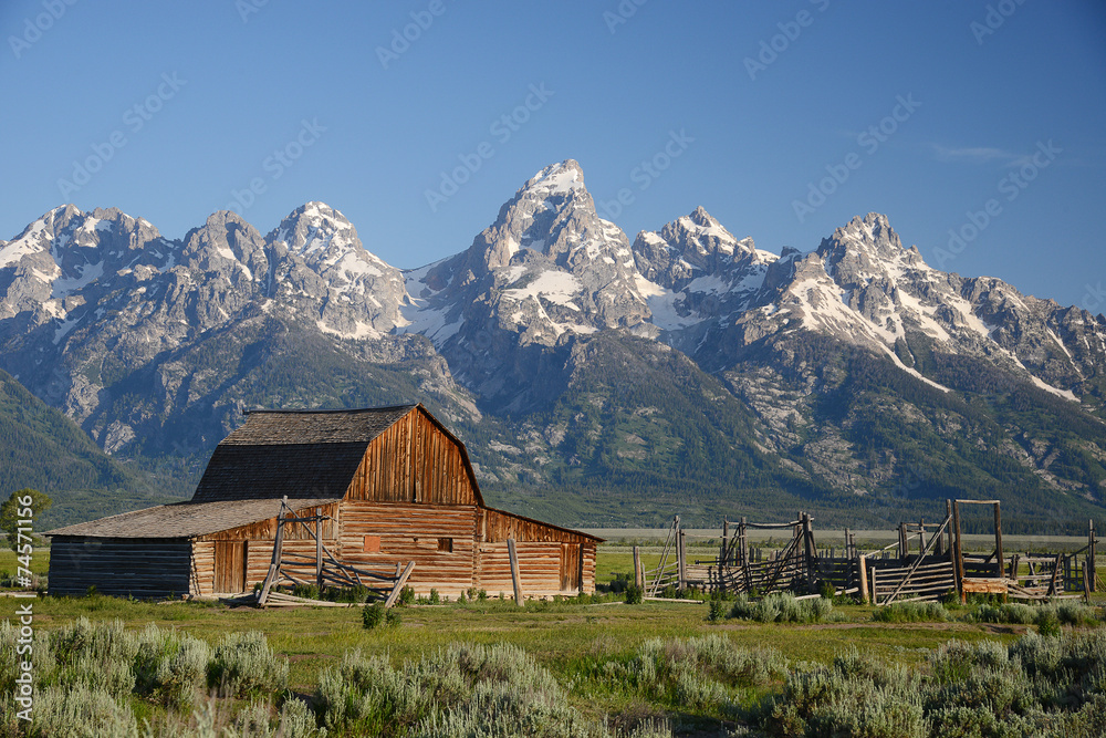 Fototapeta premium barn at grand teton