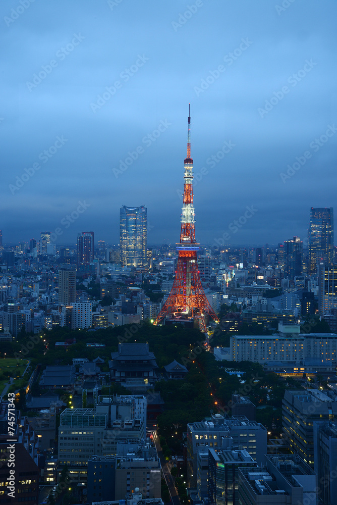 Obraz premium tokyo tower