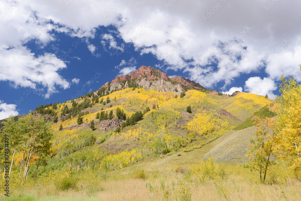 aspen with mountain