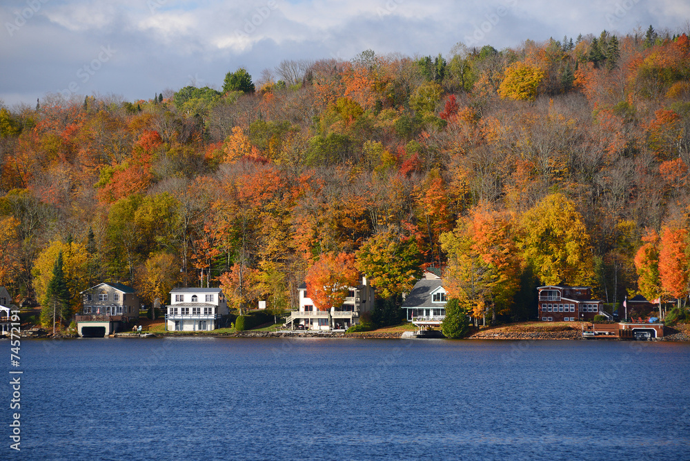 Fototapeta premium vermont fall foliage