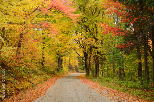 vermont road in autumn photo