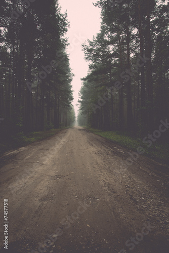misty country road in the early morning - retro, vintage
