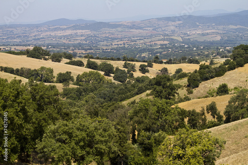 Grossetano, campagna