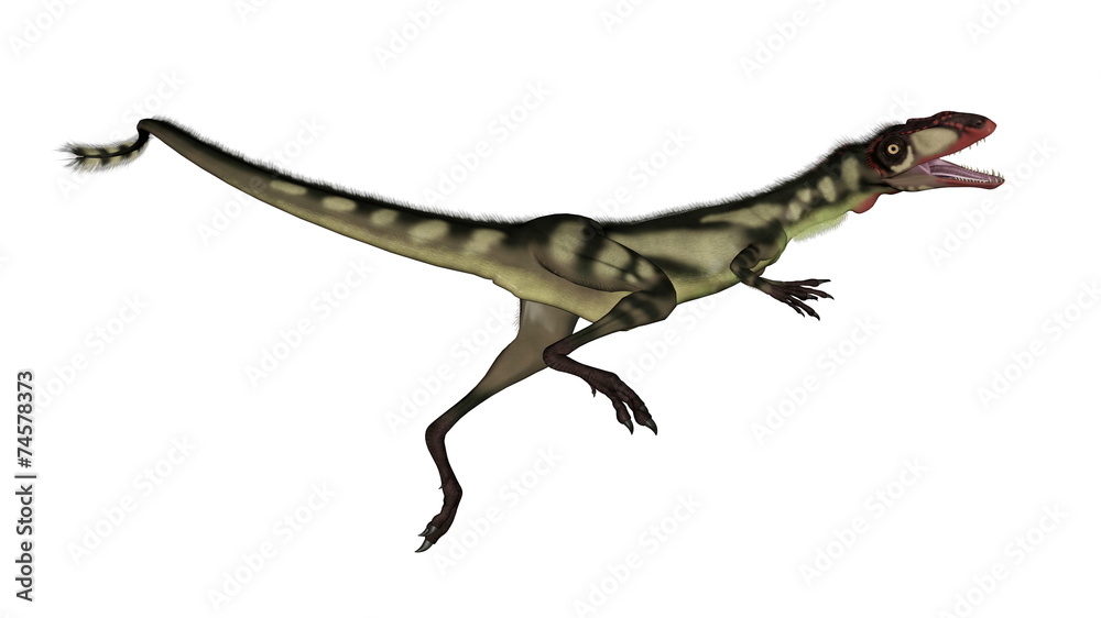 Dilong dinosaur jumping - 3D render Dilong dinosaur jumping - 3D render