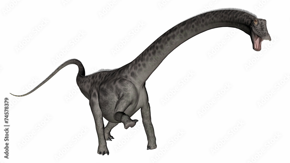 Obraz premium Diplodocus dinosaur head up - 3D render