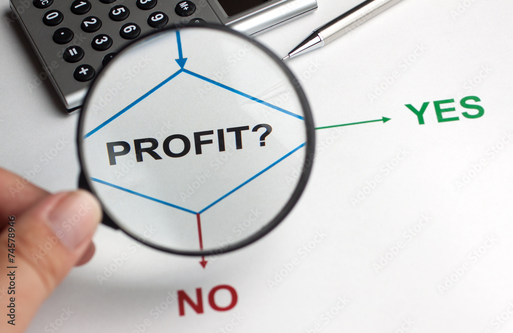 Fototapeta premium Decision chart Profit