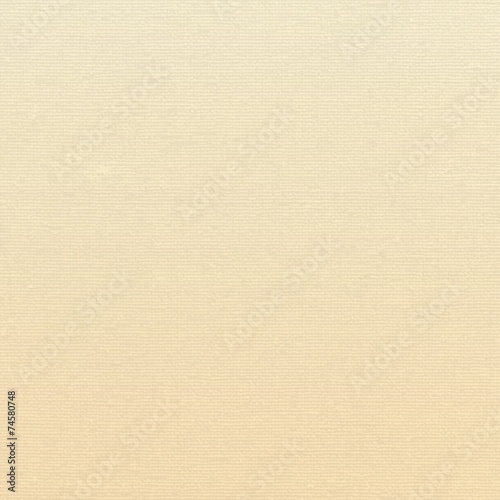 texture of the canvas beige. Vector