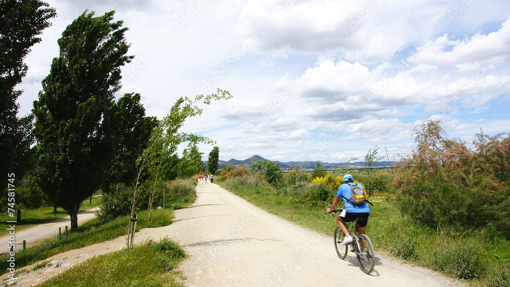 Camino en el Delta del Llobregat, Barcelona Camino en el Delta del Llobregat, Barcelona