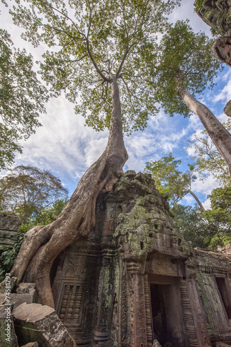 Angkor Ta Prohm in Cambodia photo