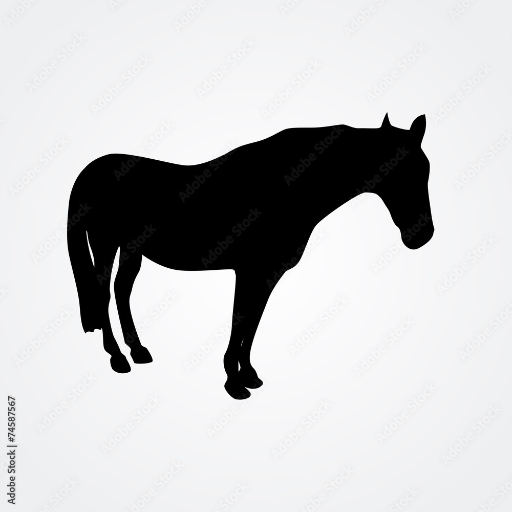 Horse - vector illustration