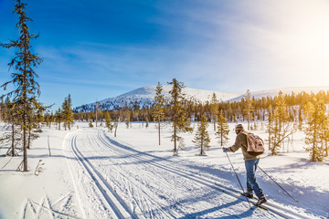 Cross-country skiing in Scandinavian winter landscape at sunset