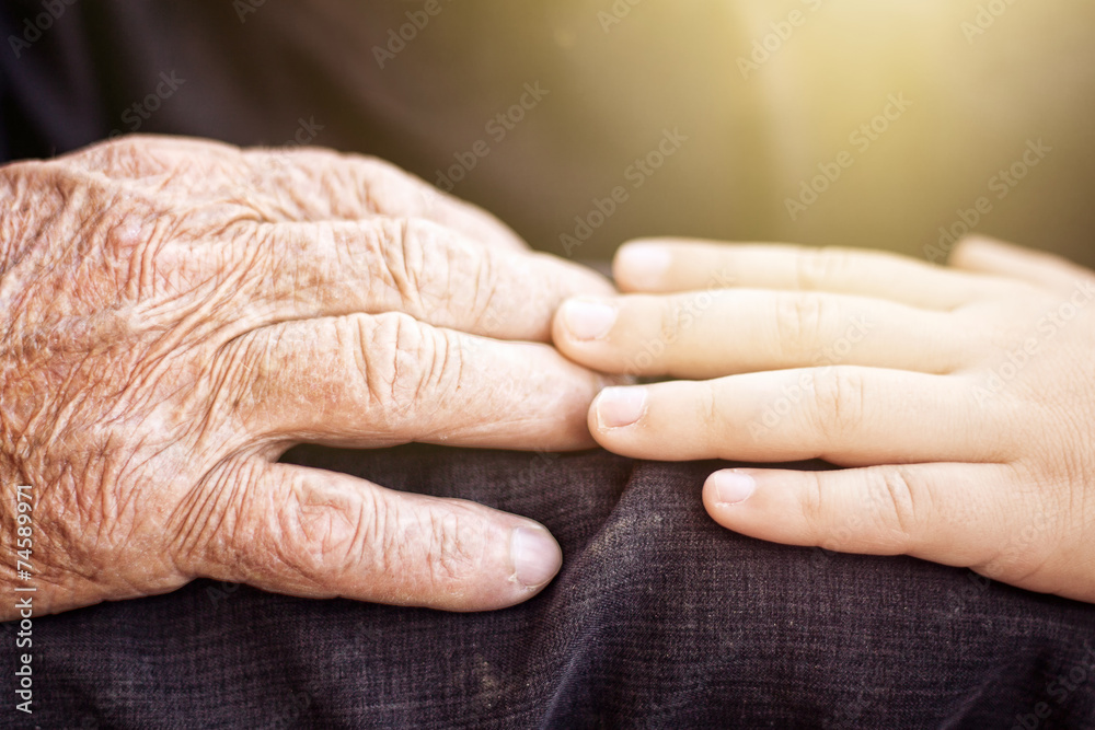 nephew touching grandfather's hand nephew touching grandfather's hand