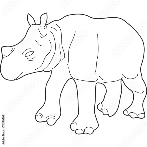 rinoceronte