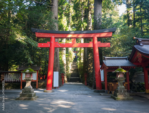 Hakone Shrine © Joshua Davenport